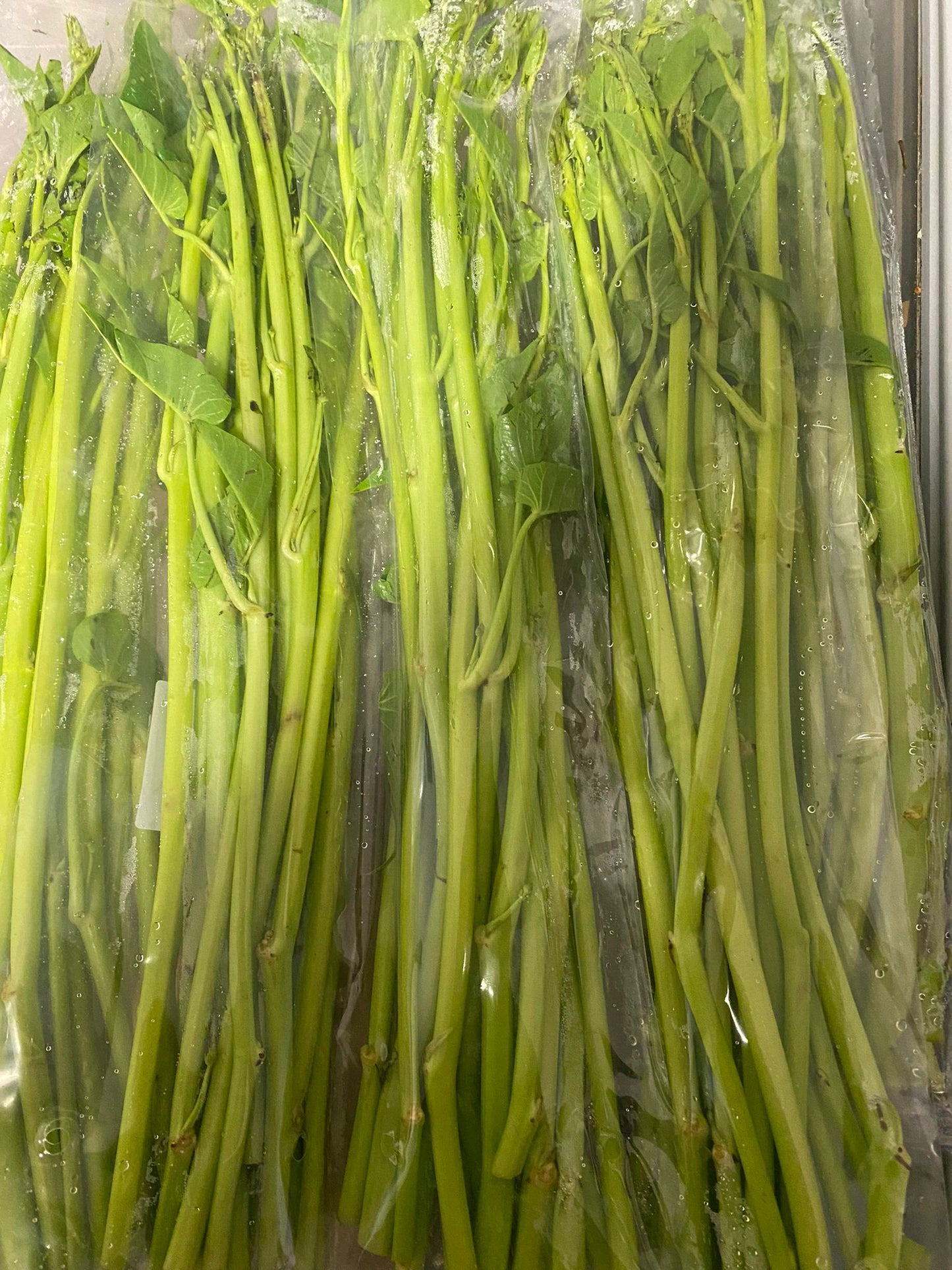 Morning Glory/ Rau Muong Cong 200g