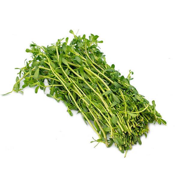 VD - Rau Dang Leaf / Rau Đắng 100g