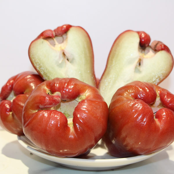Rose Apple / Mận Đỏ 450g -550g
