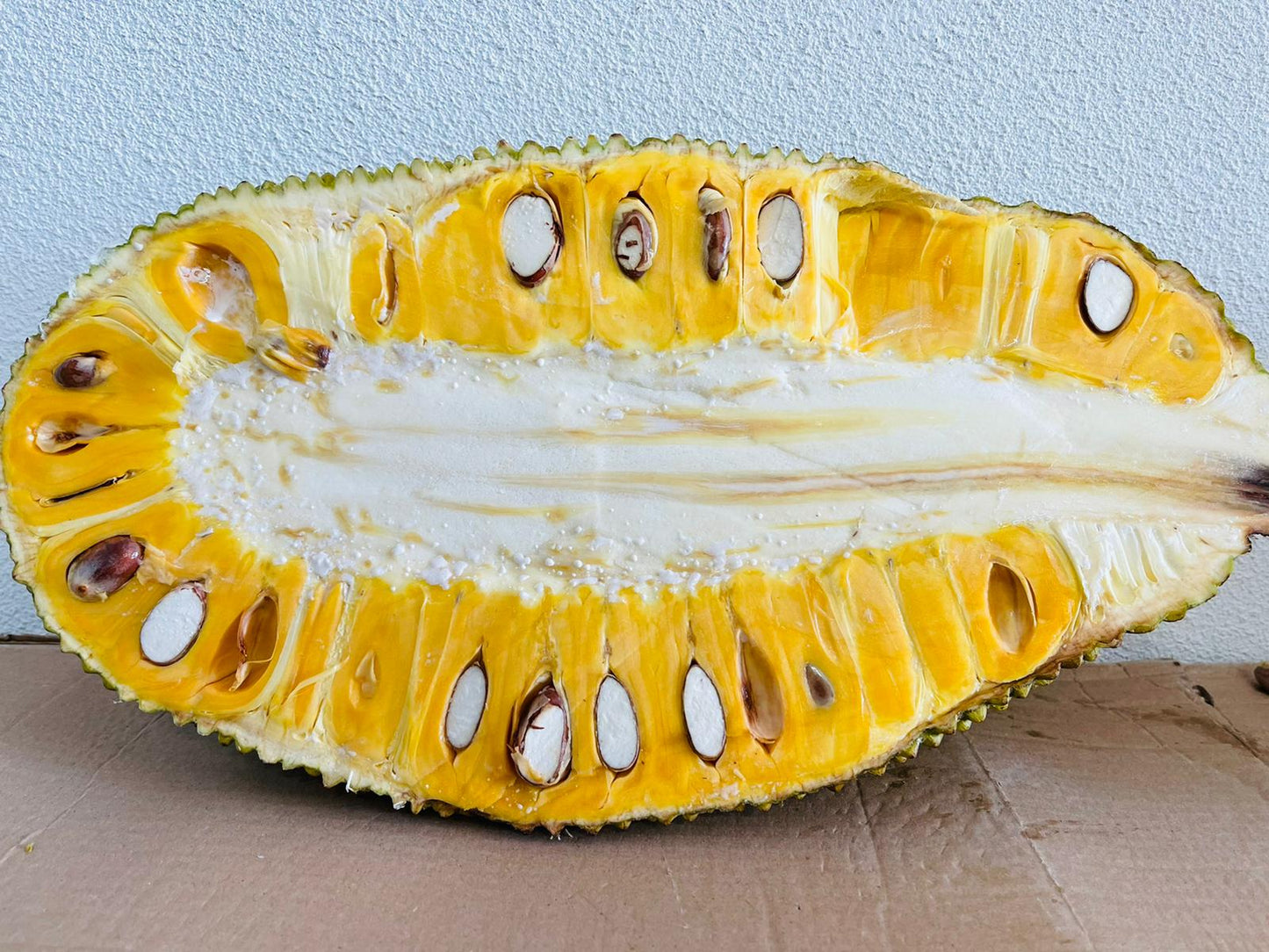 MTRS - Fresh Jackfruit Thai Lan 1 Pieces / Mít Tươi Thái Lan Miếng 2.7kg-2.8kg (15.99/1 Kg)