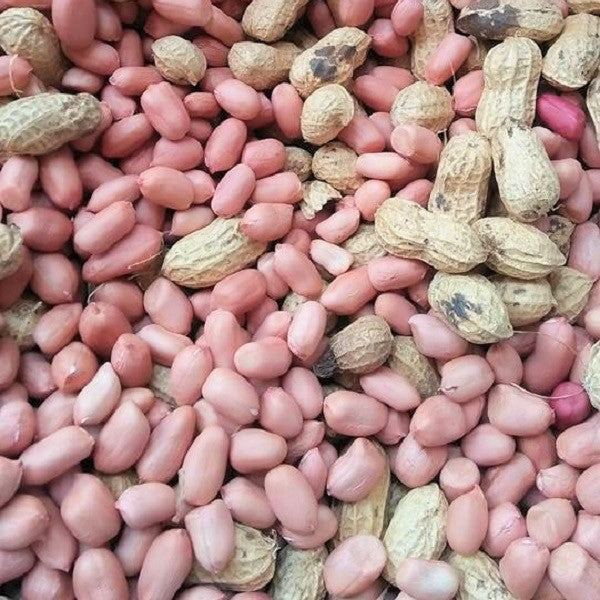 MTRS - Fresh Peanut/ Dau Phong Tuoi 500g
