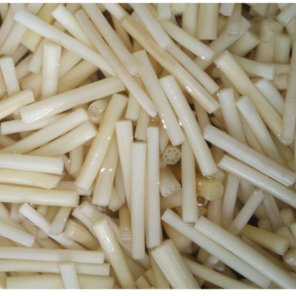 Frozen Roots Stems / Ngo Sen 500g