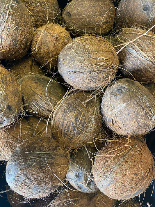 BE - Dried Coconut 2 Pieces / Dua Kho