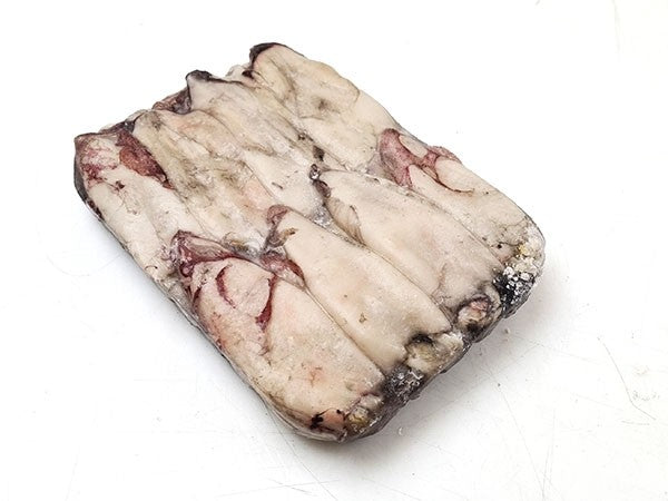 LOLIGO VULGARIS Squid 1 KG/ Muc Ong 1Kg