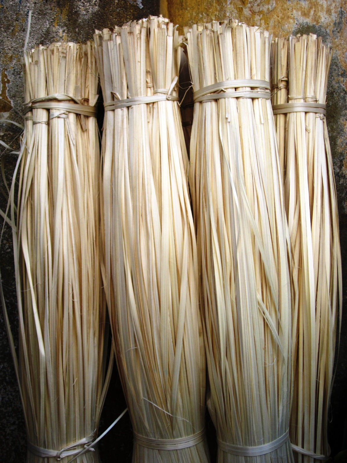 Bamboo Rope/ Day Lat Tre Goi Banh 50 Soi