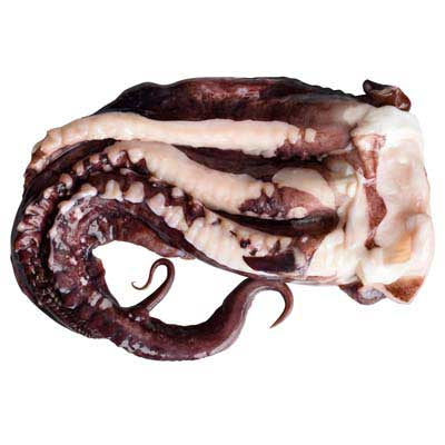 BNC - Giant Squid Tentacles / Rau Muc To 1.5kg