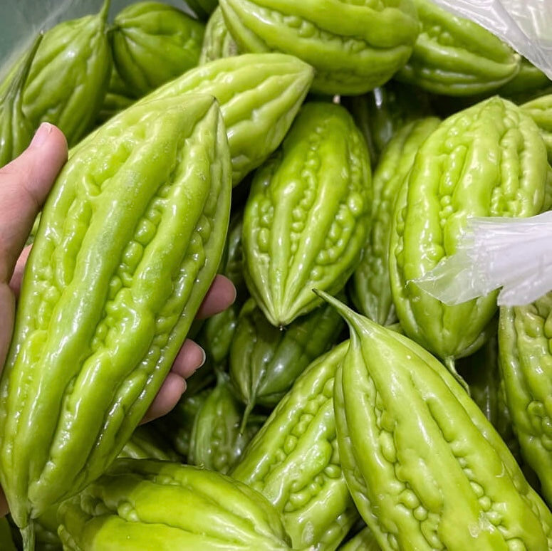 Bitter Melon / Muop Dang 400-500g