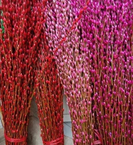 TET - PinkTam Xuan Flowers / Nụ Tầm Xuân Hồng 10 piecies