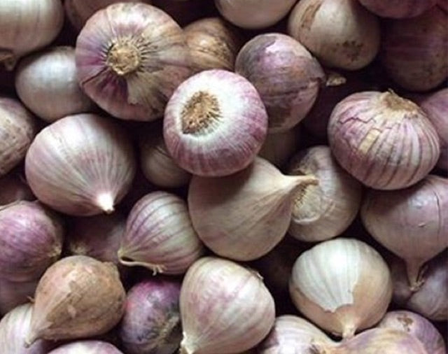 Garlic Solo / Toi Co Don 250g