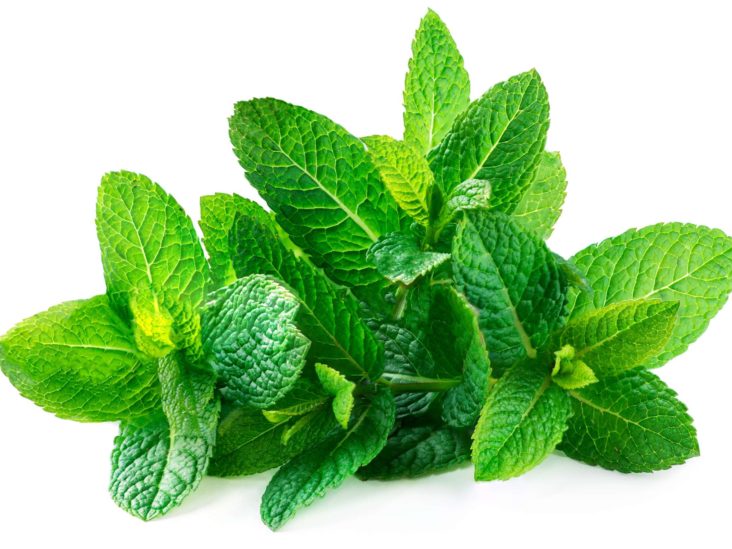 Fresh Mint / Hung Lui 200g