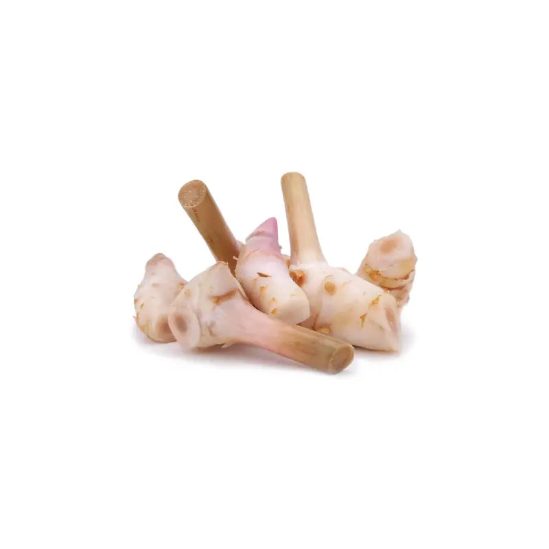 Fresh Galangal / Laos - 90-110g