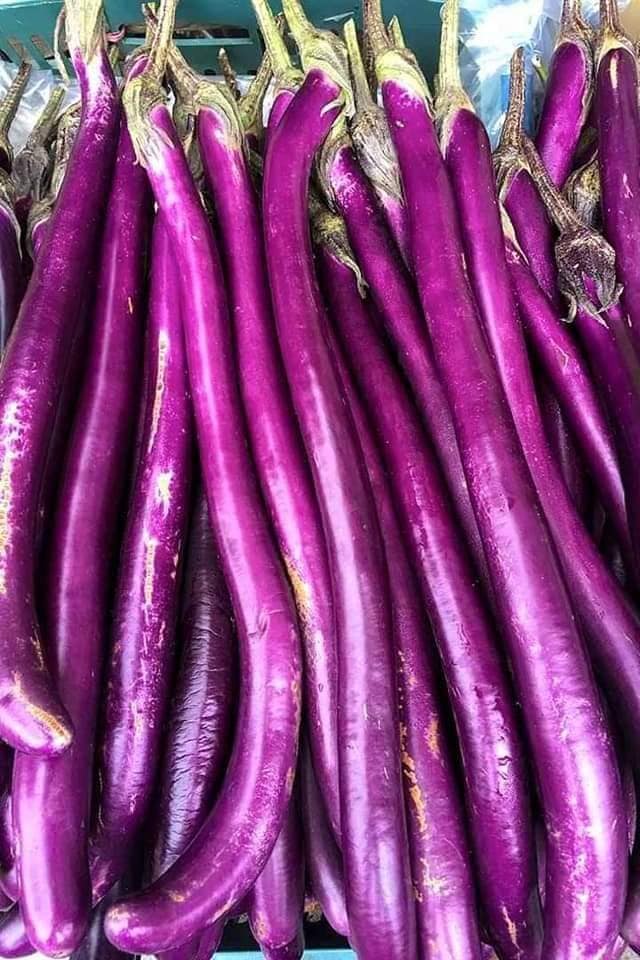 Long Aubergine / Ca Tim Dai 950g-1050g