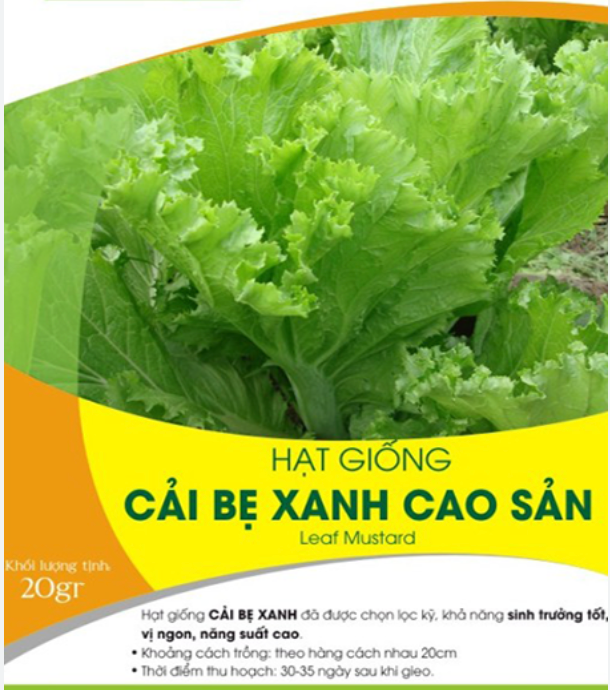 VN - Mustard Seeds / Hat Giong Cai Be Xanh