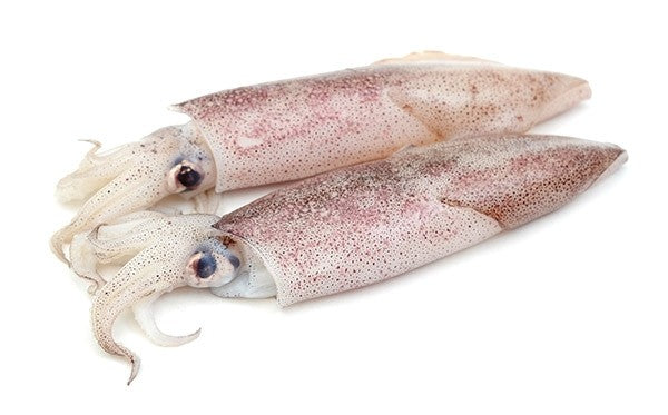 BNC - Squid Whole Loligo Duvauceli / Muc Ong Nho 2 kg