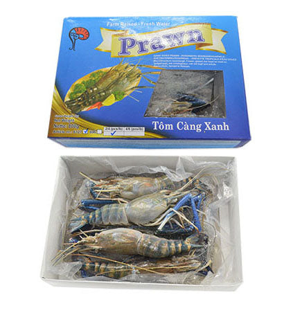 Scampi's HOSO / Tôm Càng Xanh 2/4 1Kg ( 20%)