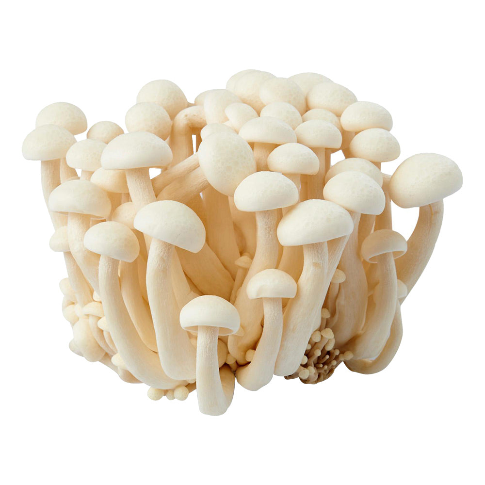 White Mushroom Shimeji 150g