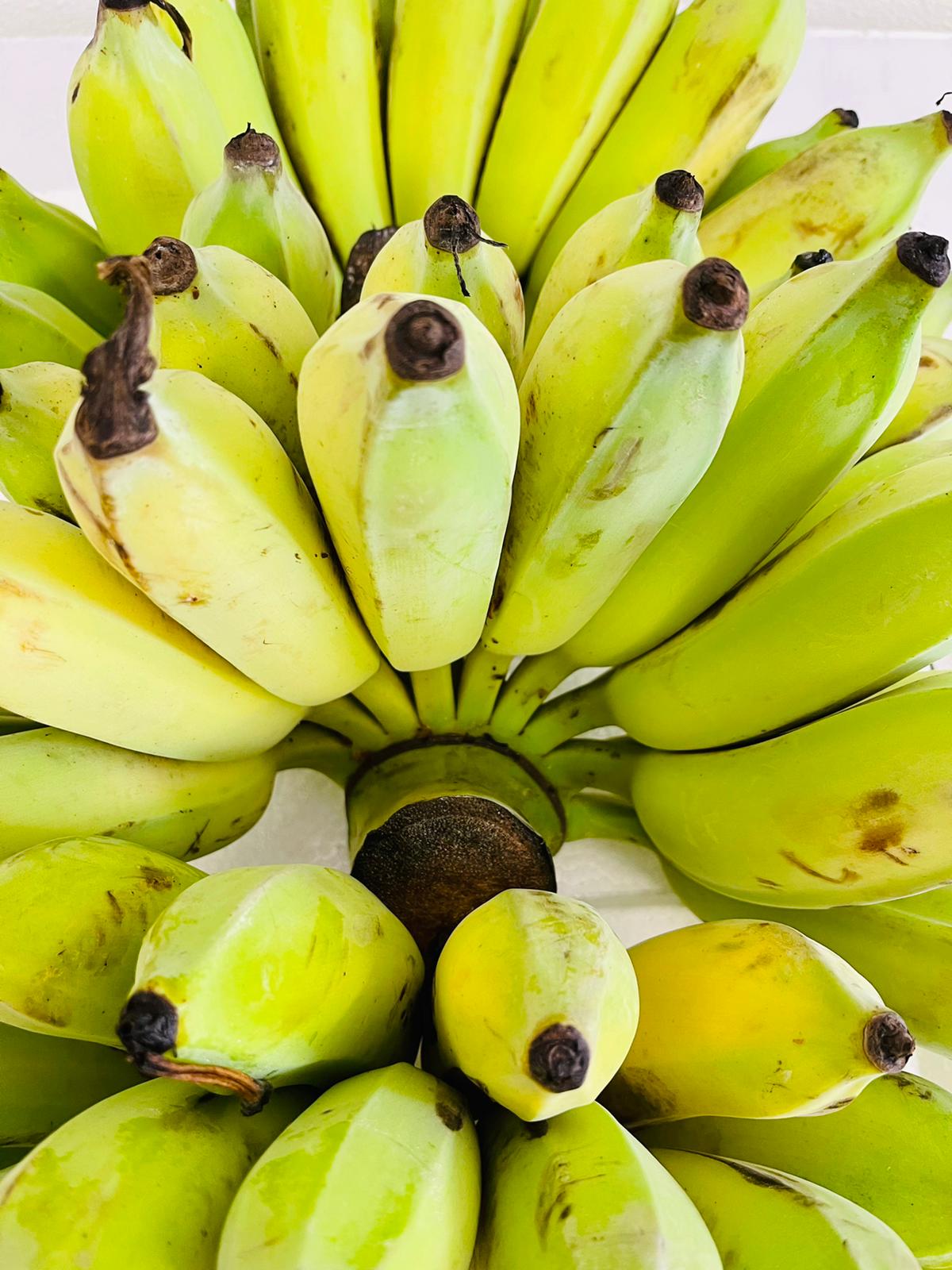 S1 - Kathli Banana / Chuối Sứ 1.7kg -1.9kg