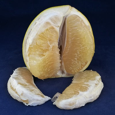 MTRS - Honey Pomelo/Trai Buoi 1pc