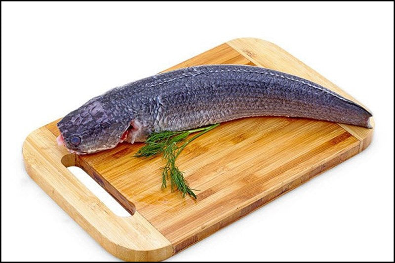 Whole Mudfish / Ca Loc Nguyen Con 600g-700g