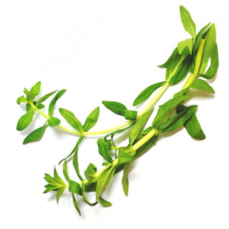 Pak Kayang / Ngo Om 100g