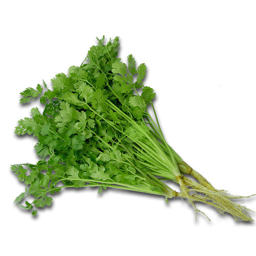 Coriander / Ngò Rí 100g