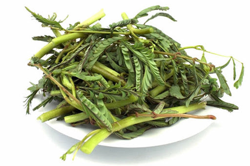 Water Mimosa / Rau Nhút 100g