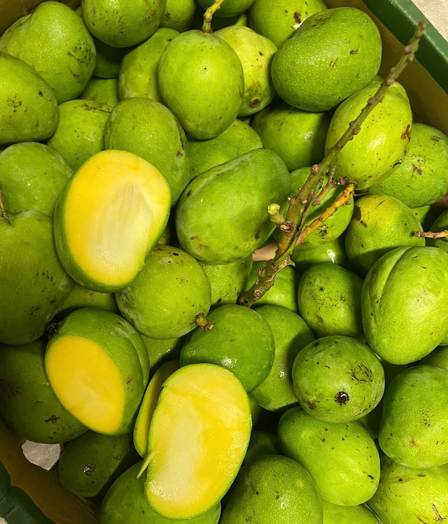 S1 - Small Mango / Xoai Xanh Chin 1kg