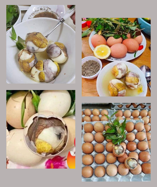 Unhatched Chicken Egg 10 Pieces /  Trung Ga Lon