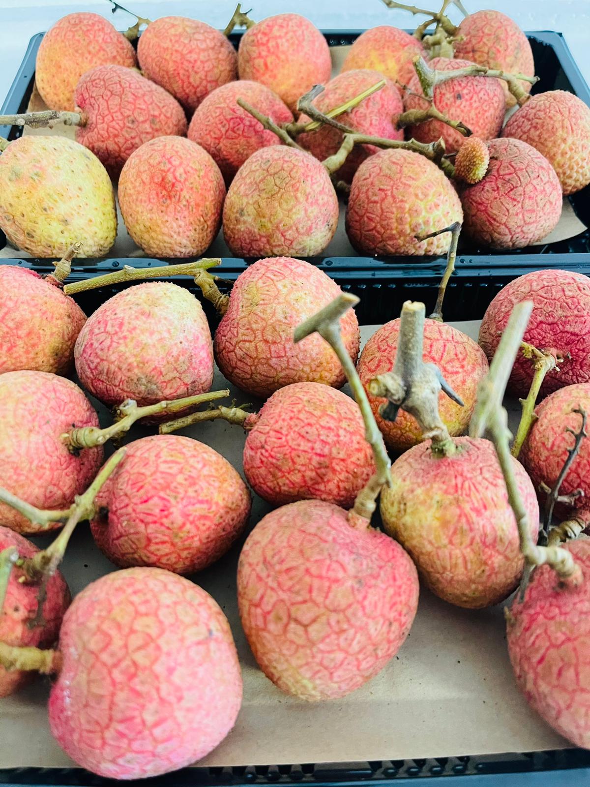 Fresh Lychee / Vải Thiều 500g