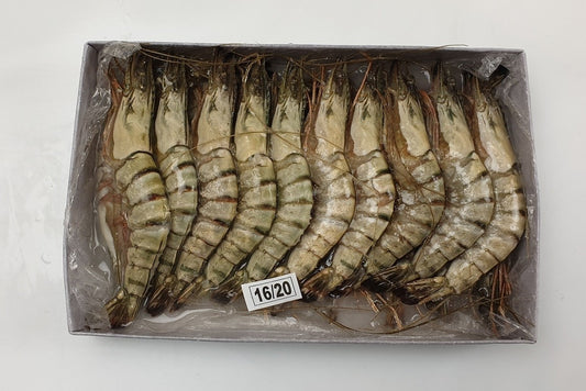 BNC - Shrimp Head on Shell On Black Tiger 16/20 1kg (20%)