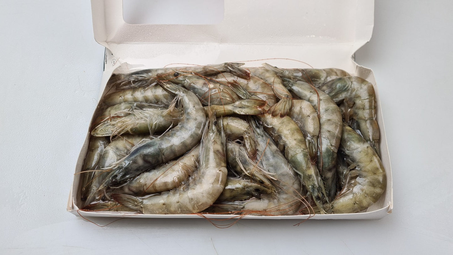 Vannamei Shrimps HOSO 20/30 1kg 25% / Tom The Co Dau Co Vo