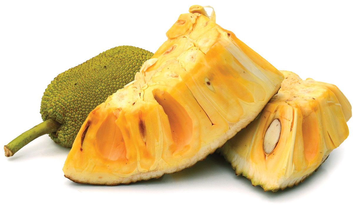 MTRS - Fresh Jackfruit Piece / Mít tươi cắt miếng 2.38kg (€12.49/kg)