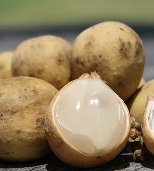 Longkong 500g / Bon Bon 500g