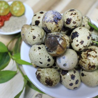 Quail Egg/ Trung Cut Lon 24 Qua