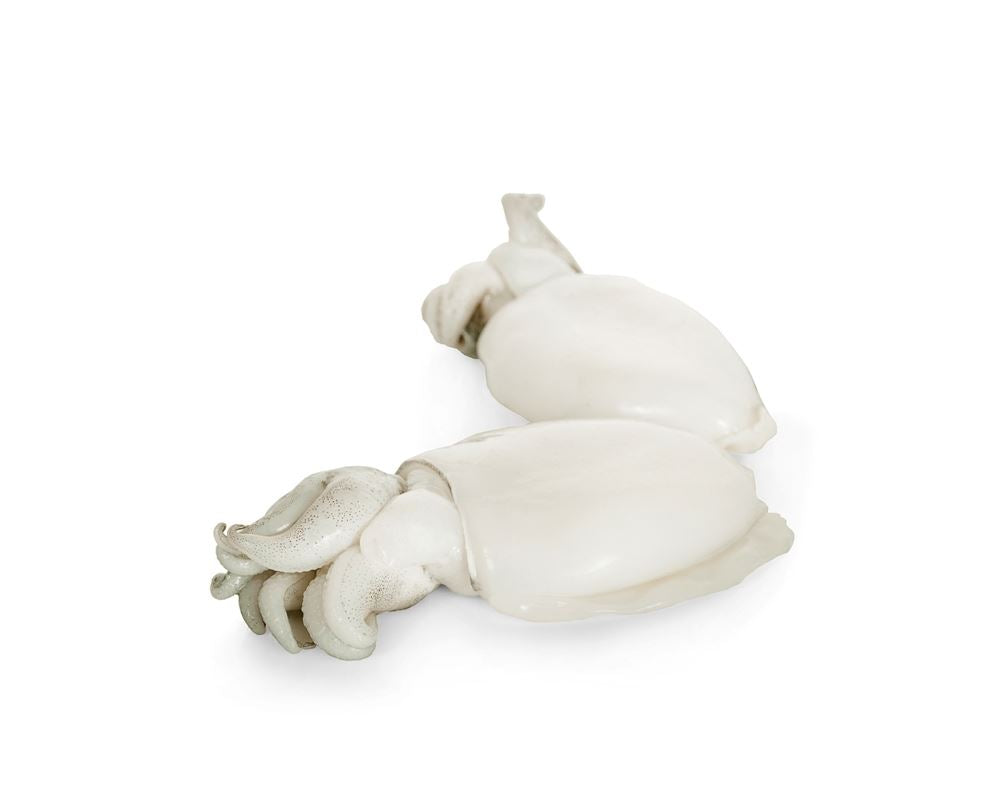 BNC - Dayseaday Baby Cuttlefish 20/40 1kg / Mực Baby