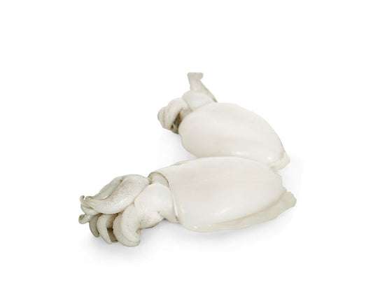 BNC - Dayseaday Baby Cuttlefish 20/40 1kg / Mực Baby