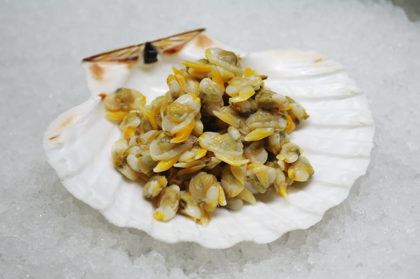 Yellow Clam Meat / Ngheu Lua Vang  1 Kg