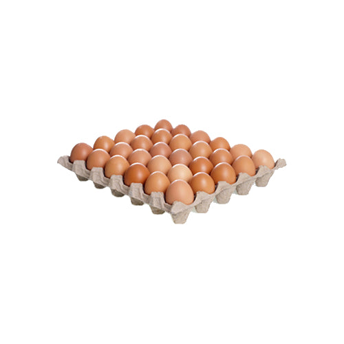 VE - Fresh Egg Size M 30 pieces / Trung Ga Tuoi