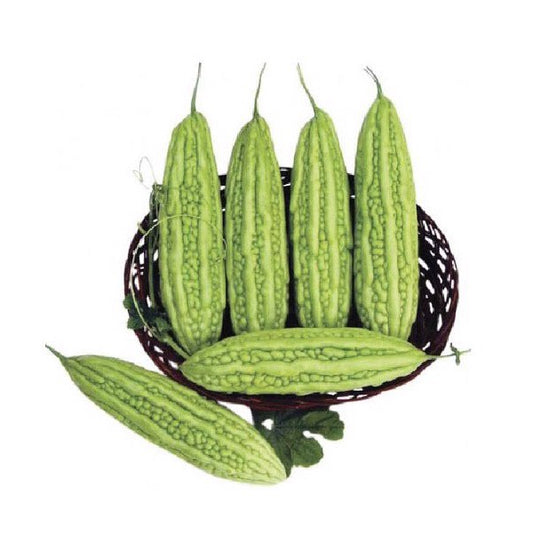 S1 - Bittermelon / Mưóp Đắng Tươi 700g