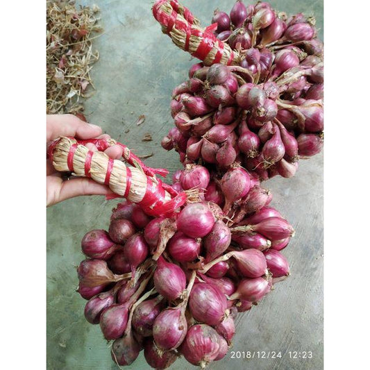 Small Purple Onion / Hành Tím Nhỏ 500g