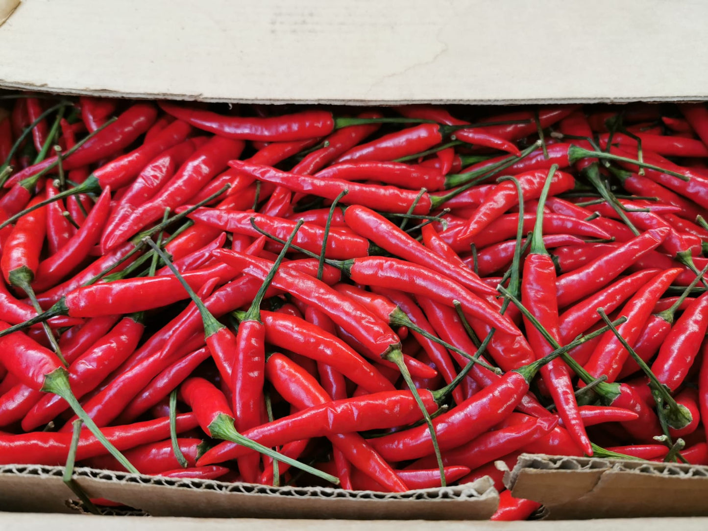 S1 -Red Chili / Ớt đỏ 250g