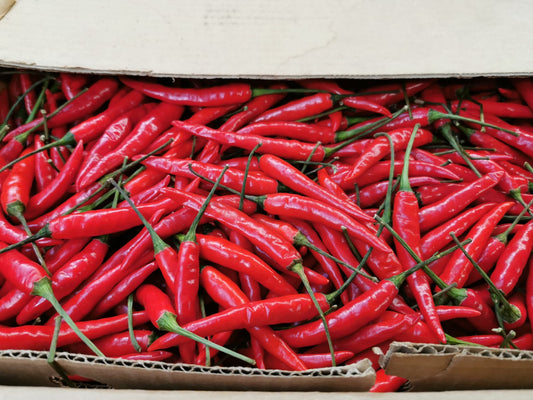 S1 -Red Chili / Ớt đỏ 250g