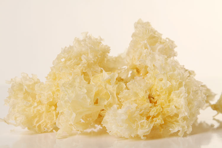 Dried White Fungus 100g / Nấm Tuyết