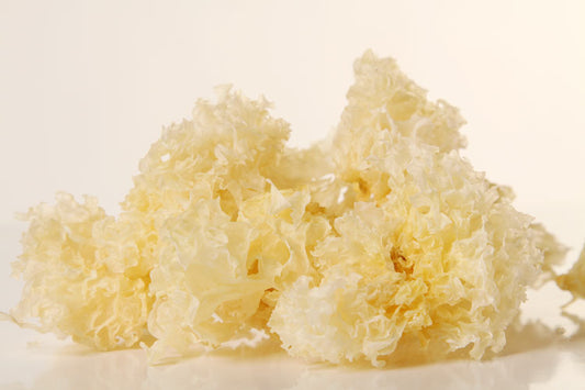 Dried White Fungus 100g / Nấm Tuyết