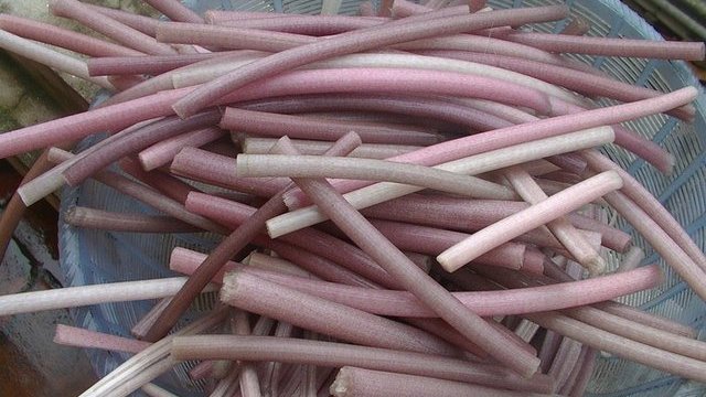 VD -Water Lilly Stem/Thân Cây Hoa Súng 100g