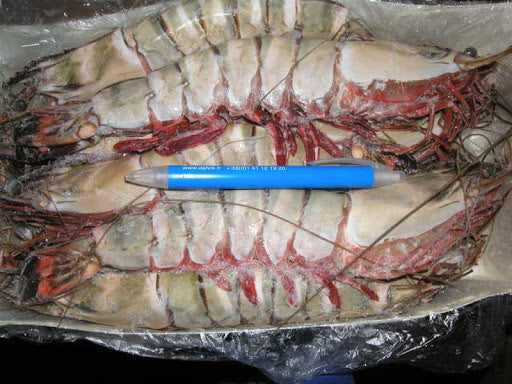 BNC - JONA Shrimps HOSO 6/8 1kg 20% / Tom To Nguyen Con