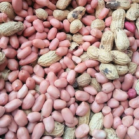 MTRS - Fresh Peanut/ Dau Phong Tuoi 500g