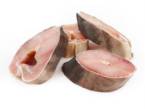 BNC - Jona Babyshark 1kg/ Ca Nham Cat khuc