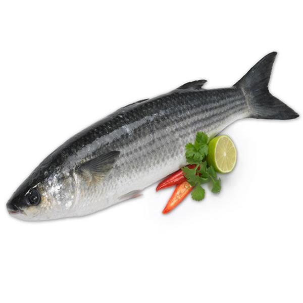 Grey Mullet/ Ca Doi 1kg