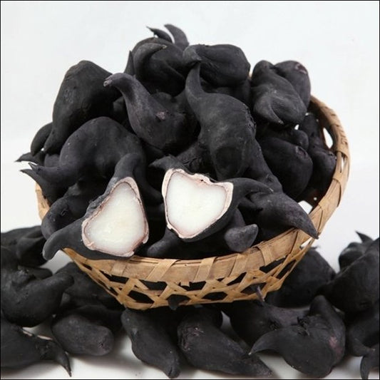 T2 - Water Caltrop 500g / Cu Au